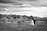 Location: Tenuta Serradesca